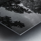 Path of Serenity: A Gettysburg Farm lane Impression metal