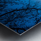 Spirit Triumphant: Louisiana Protection Metal print