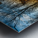 Sunset Warrior: Mississippi At Gettysburg Metal print