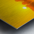 Dawns Embrace: Misty Tree in Gettysburg Metal print