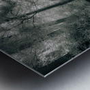 Enchanted Path: A Rain-Kissed Journey in Natural Bridge State Park Metal print