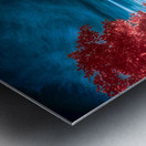 Infrared Stroll Through Tippiecanoes Pink Canopy Metal print