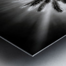 Lighted Palm Metal print