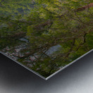 Autumnal Glow: Exploring Grace Coolidge Creeks Vibrant Palette  Metal print