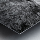 Monochromatic Serenity: Exploring Grace Coolidge Creek in Custer Impression metal