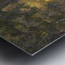 Golden Tranquility: Navigating Grace Coolidge Creek Metal print