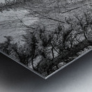 Monochromatic Serenity: Exploring Grace Coolidge Creek in Custer - Tall Metal print