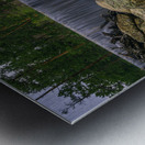 Enchanting Serenity: Exploring Grace Coolidge Creek Metal print