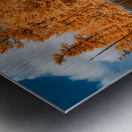 Infrared Elegance: Unveiling the Enchanting Grace Coolidge Creek Impression metal