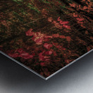 Autumn Symphony: A Serene Day at Ricketts Glen State Park Impression metal