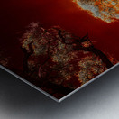 Ruby Bonsai: A Botanical Marvel Unveiled on Driftwood Beach Metal print