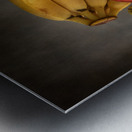 Bountiful Medley: Bananas Behind Green Pear Red Pear and Orange Impression metal