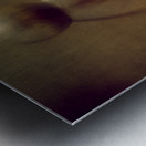 Weathered Bishops Crown Metal print