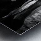 Hoofed Elegance: Exploring the Intricate Details of a Florida Horse Metal print