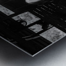 Mystique Unveiled: Capturing the Hidden Spirit of a Florida Horse Impression metal