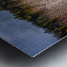 Mueller Aspen Series: Whispers of Fall Metal print