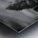 Mueller Aspen Series: Natures Finale Metal print