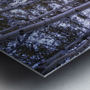 Mueller Aspen Series: Aspen Tree Trail Metal print