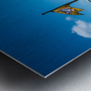 Lighthouse Adventures: A 12-Hour Cruise Through Beauforts Water Metal print