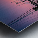 Dreamy Drifts: A Pictorial Romance in Beauforts Haven Metal print