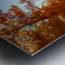 Mount Rushmore Yellow Glow: Infrared Beauty Amidst the Trees Metal print