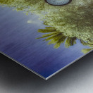 Springtime Serenity: Exploring Saint Marys Riverside Park Metal print