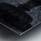 Rainy Day Wonders: Fountain Frozen in time in Saint Marys Georg Metal print