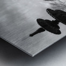 Monochromatic Elegance: Rainy Day Reverie at the Fountain in Saint Marys Georgia Impression metal