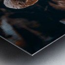 Mystical Fungi: Quiet Contemplation The Sullen Fungus Metal print