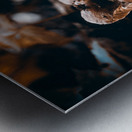 Mystical Fungi: Crabby Shroom Metal print