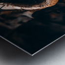 Mystical Fungi: Cupped in the Autumn Woods Metal print