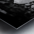 Mystical Fungi: Broken Shroom Impression metal