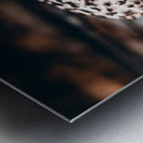 Mystical Fungi: Speckled Shroom Metal print