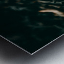 Mystical Fungi: Standing Tall The Majestic Tallish Mushroom Metal print