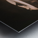 Mystical Fungi: Big Brother Shroom in the Woodland Realm Metal print