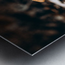 Mystical Fungi: Gloomy Shroom Metal print