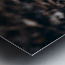 Mystical Fungi: Outer in the Tranquil Wilderness Metal print