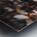 Mystical Fungi: Clustered Shrooms in the Enchanted Forest Metal print