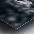 Mystical Fungi: Blue Shroom in the Enchanted Woods Metal print