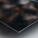 Mystical Fungi: Sluggish Amidst Rooting Trees Metal print