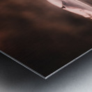 Mystical Fungi: Infrared Shroom in the Magical Landscape Impression metal