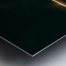 Mystical Fungi: Down Below in the Shady Undergrowth Metal print