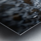 Montana Ranch Shroom: Whispering Wind Toadstool Metal print