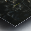 Montana Ranch Shroom: Rustic Ranch Fungus Metal print