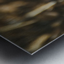 Montana Ranch Shroom: Majestic Mane Mushroom Metal print