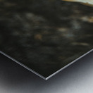 Montana Ranch Shroom: Saddlewood Mushroom Metal print