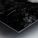 Montana Ranch Shroom: Prairie Path Fungus Metal print