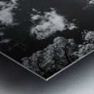 Stairway to Tranquility: Sylvan Lake Metal print