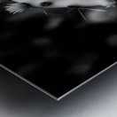 Ink and Thorn: Capturing the Essence of Texas Cacti Metal print