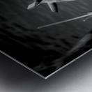 Serene Sylvan Lake: A Tale of Resilience and Reflection Metal print